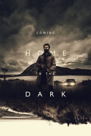 Poster Coming Home in the Dark (2021)