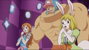 One Piece Season 19 Episode 823