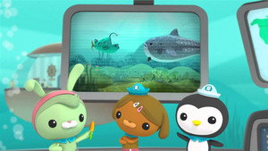 Octonauts: Creature Reports