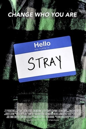 Stray poster