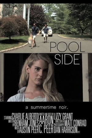 Poster Poolside (2012)