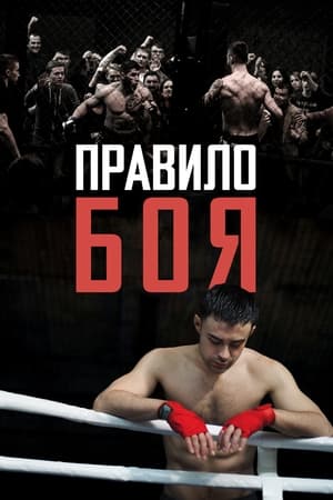 Poster Правило боя 2017