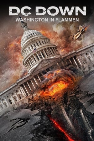 Poster DC Down - Washington in Flammen 2023