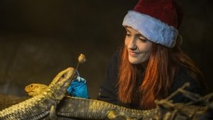 The Secret Life of the Zoo The Secret Life of the Zoo at Christmas 2017