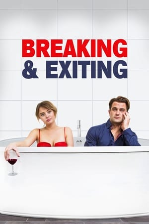 Breaking & Exiting poster