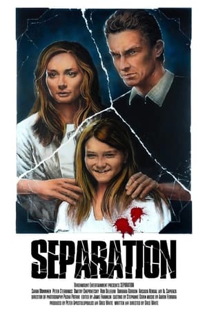 Poster Separation 2013