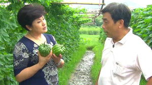 Episode 31 | StreamHub