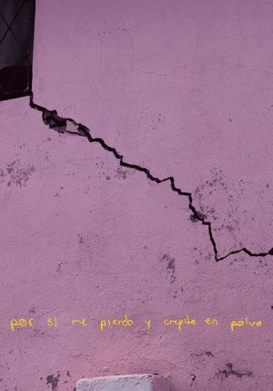 por si me pierdo y crepito en polvo (2022)