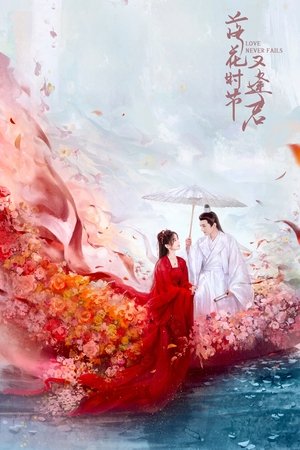 Love Never Fails