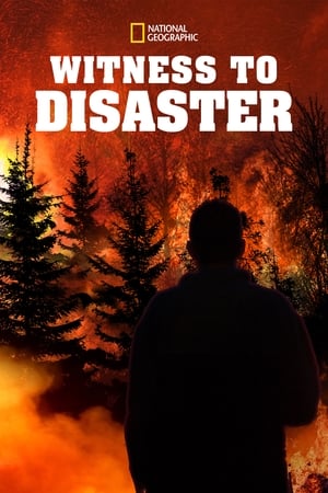 Poster Witness to Disaster 2019