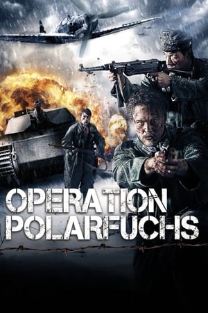 Image Operation Polarfuchs