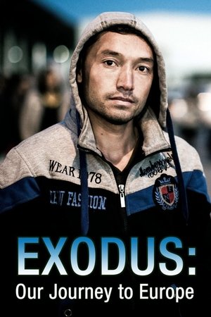 Image Exodus: Our Journey