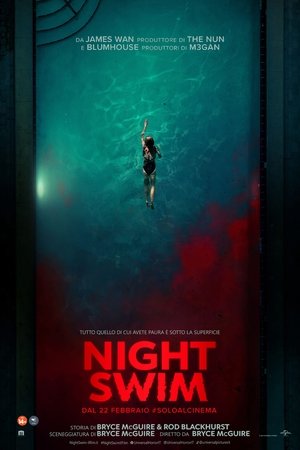 Poster Night Swim 2024