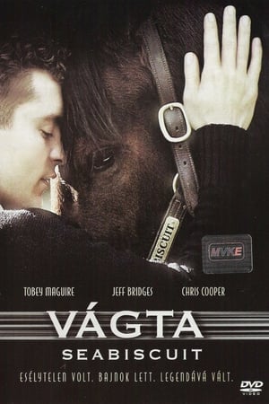 Poster Vágta 2003