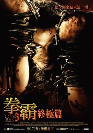 拳霸3 (2010)