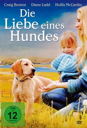 Image Die Liebe eines Hundes