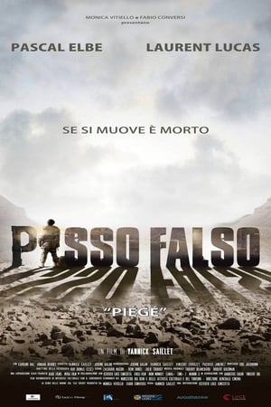 Poster di Passo falso