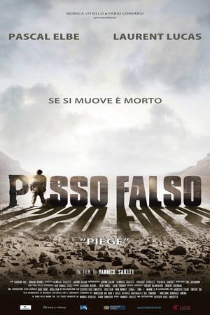 Poster Passo falso 2014