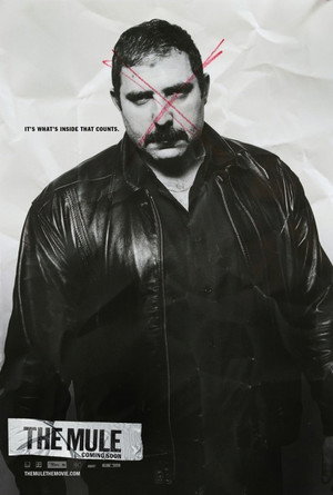 Постер фильма «Мул (2014)» — (11 из 28)