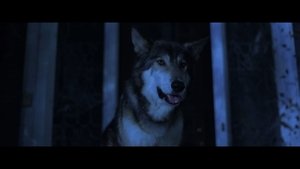 Lycan (2017)