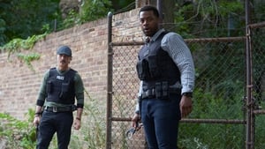 Chicago P.D.: 5×6