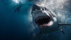 Great White Invasion