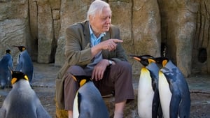 David Attenborough's Natural Curiosities Life on Ice