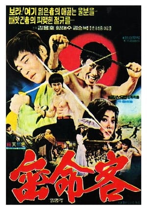 Poster 밀명객 1976