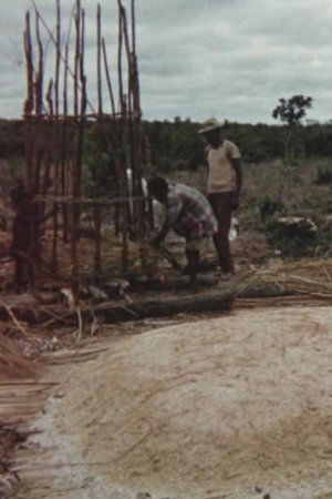 Making Toasted Cassava Flour