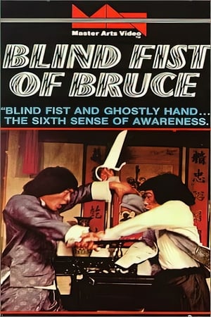 Blind Fist Of Bruce poster