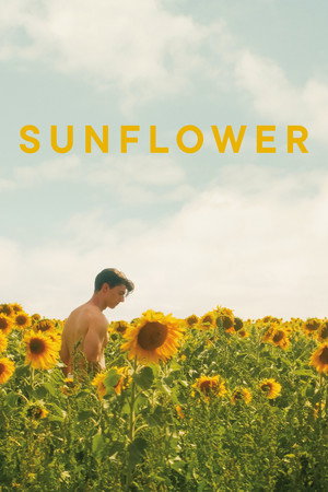 Sunflower 23