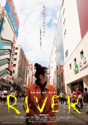Poster River (2011)