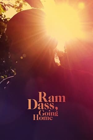 Poster 람 다스, 고잉 홈: 마지막 발걸음 2017