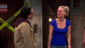 The Big Bang Theory Temporada 6 Capitulo 15