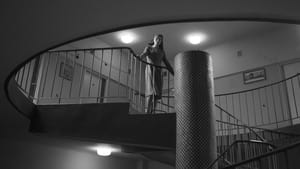 Ida (2013)