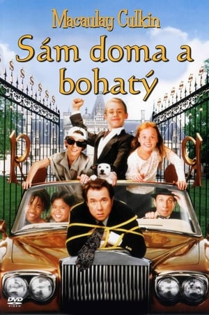 Poster Sám doma a bohatý 1994