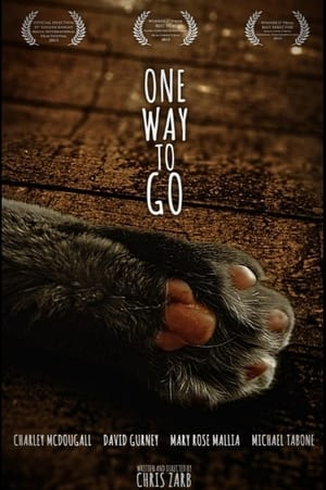 Poster One Way To Go (2013)