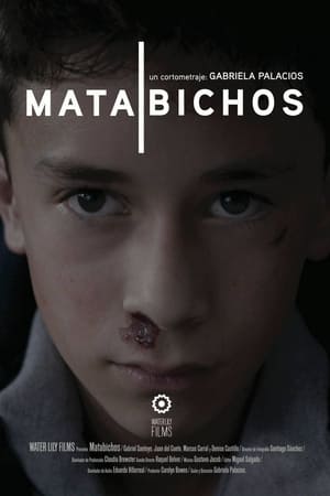 Image Matabichos