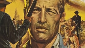 COOL HAND LUKE คนสู้คน (1967)