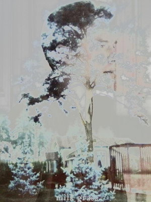 Milk Grass 41