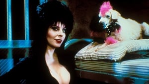 Elvira, la dama de la oscuridad