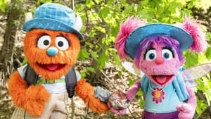 Sesame Street Hike Pirates