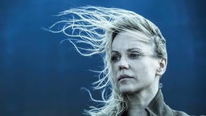 The Bridge: La serie originale 4×8