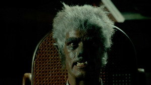 The Werewolf of Washington