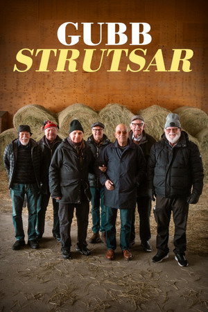 Gubbstrutsar