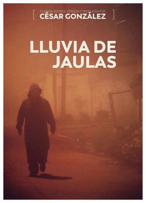 Lluvia de jaulas 3
