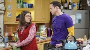 The Big Bang Theory: 10×17