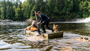 Hành Tinh Hỗn Loạn - Chaos Walking (2021)