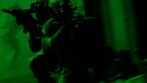 Zero Dark Thirty