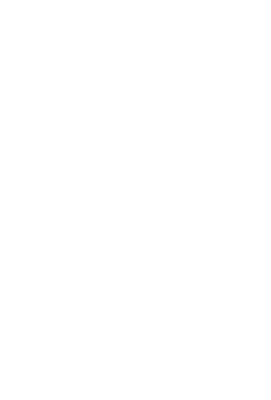 探晴安 — Logos 2